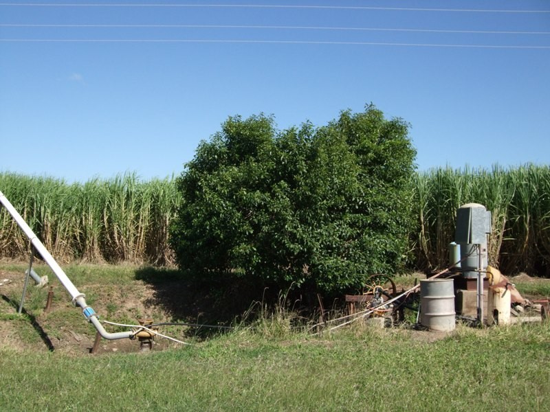 Ayr QLD 4807