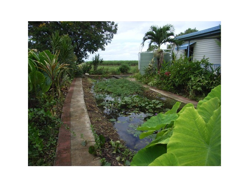 Home Hill QLD 4806