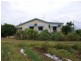 Home Hill QLD 4806