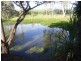 Home Hill QLD 4806