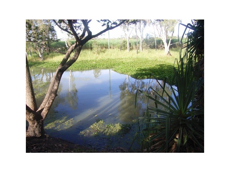 Home Hill QLD 4806