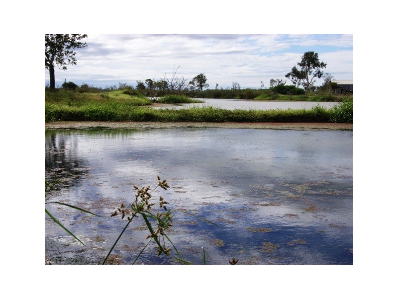 Horseshoe Lagoon QLD 4809