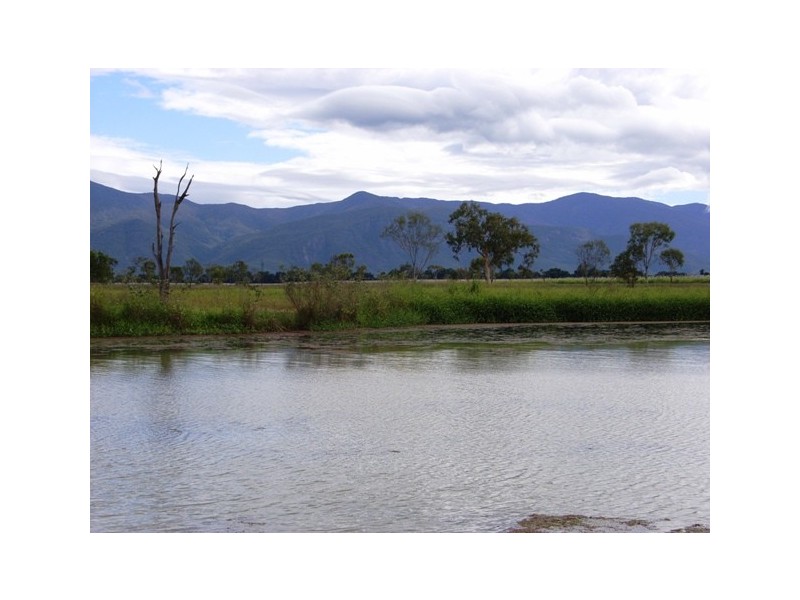 Horseshoe Lagoon QLD 4809