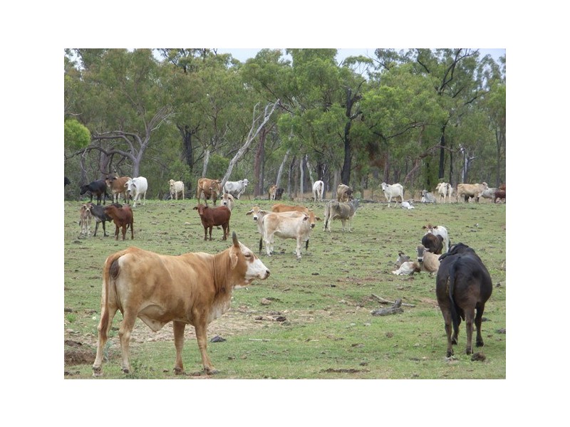 Collinsville QLD 4804