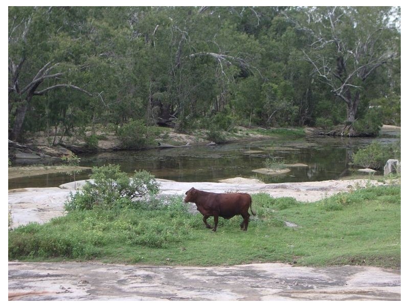 Collinsville QLD 4804