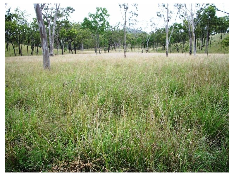 Collinsville QLD 4804