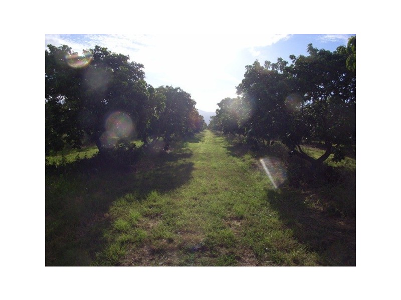 Horseshoe Lagoon QLD 4809