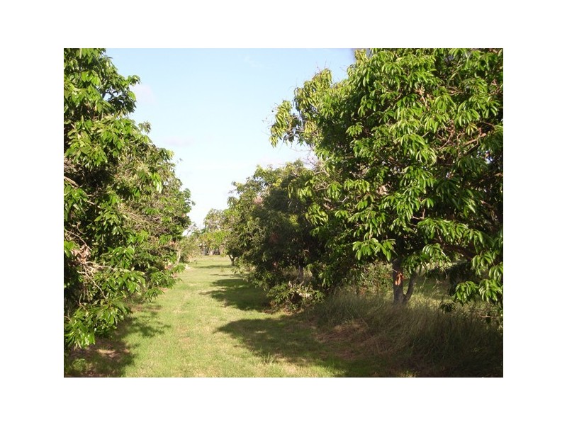Horseshoe Lagoon QLD 4809