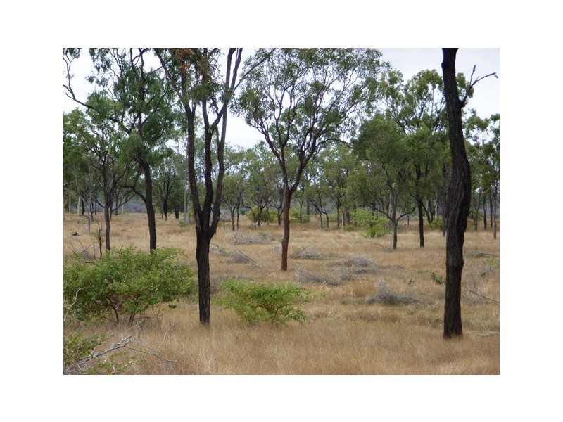 Home Hill QLD 4806