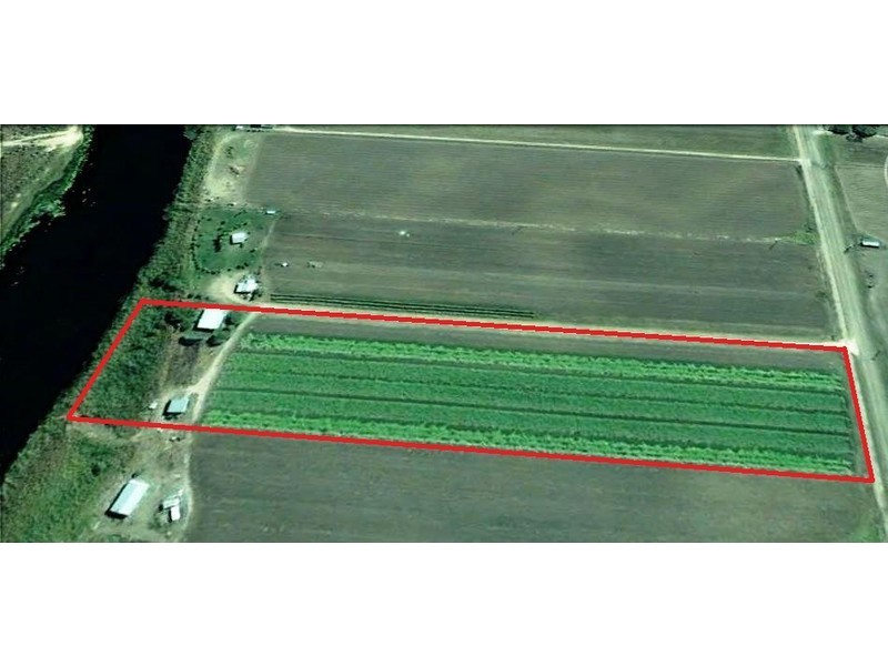 221 Hodel Road, Giru QLD 4809