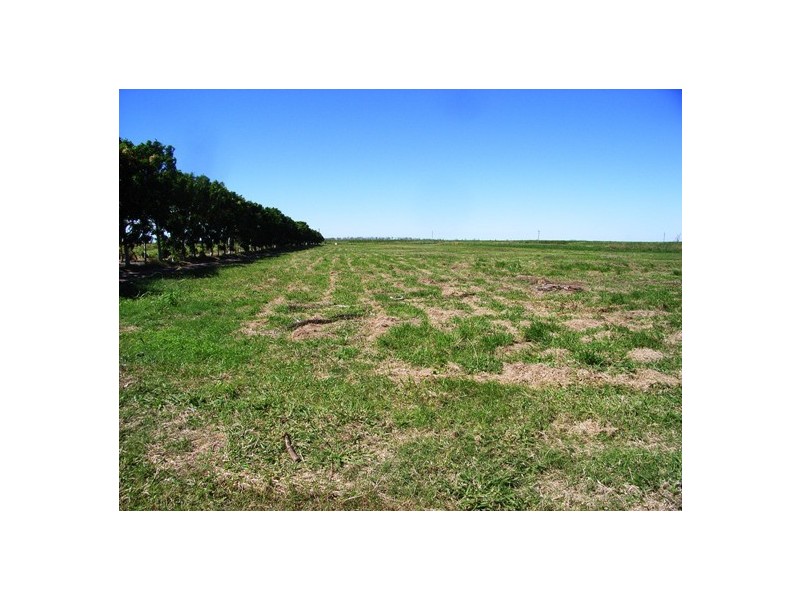 221 Hodel Road, Giru QLD 4809