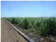 Ayr QLD 4807