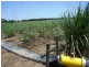 Ayr QLD 4807