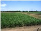 Ayr QLD 4807