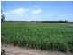 Ayr QLD 4807