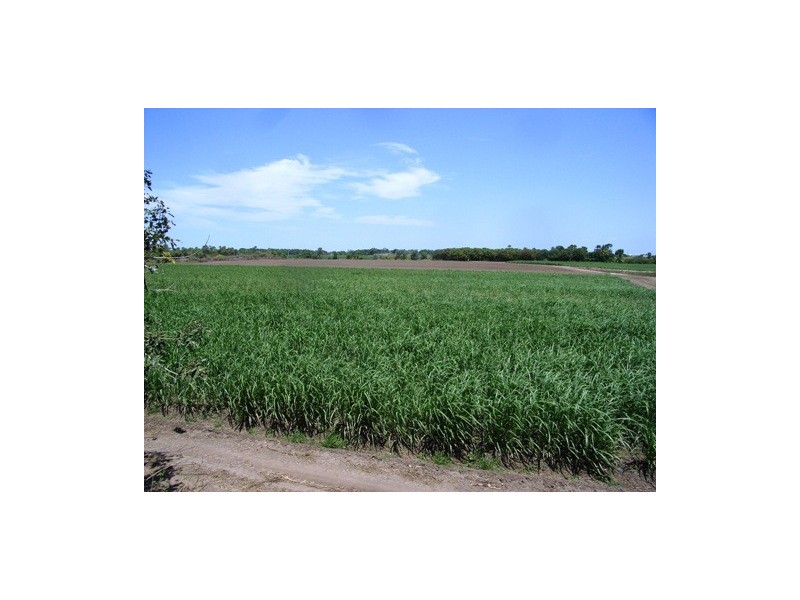Ayr QLD 4807