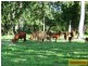 Millaroo QLD 4807