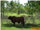 Millaroo QLD 4807
