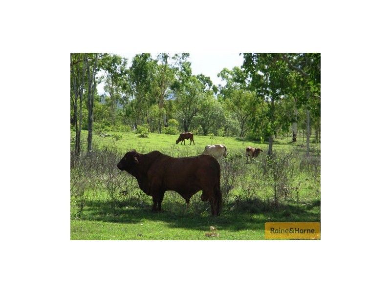 Millaroo QLD 4807