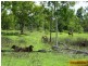 Millaroo QLD 4807