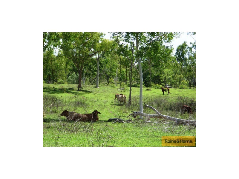Millaroo QLD 4807