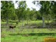 Millaroo QLD 4807