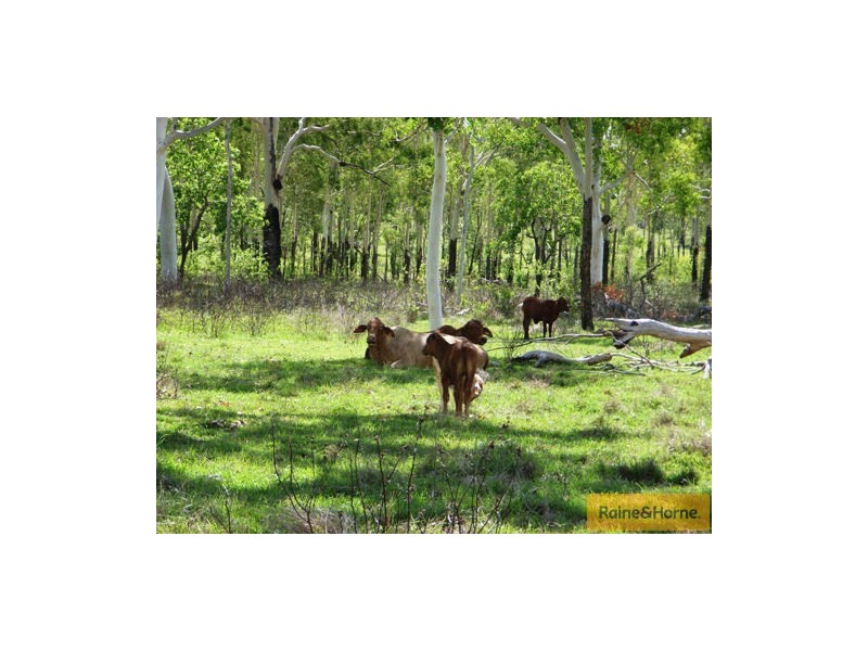 Millaroo QLD 4807