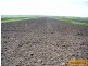 Gumlu QLD 4805