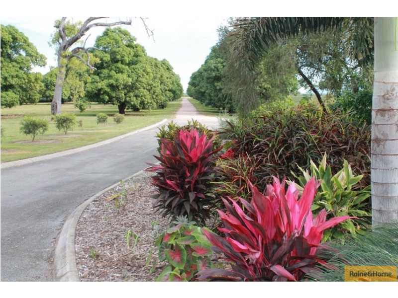 Ayr QLD 4807