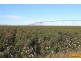 Ayr QLD 4807