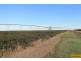 Ayr QLD 4807