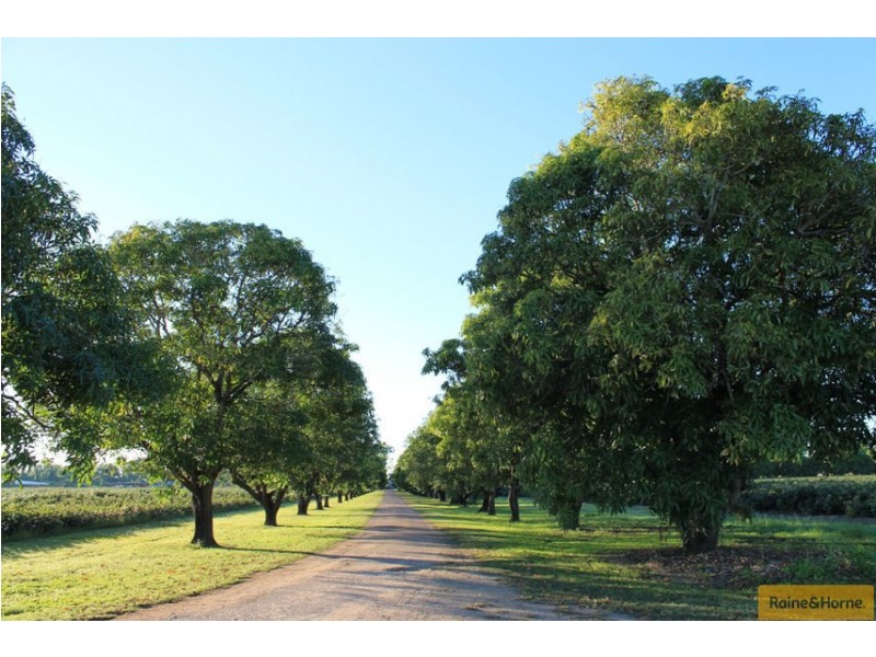 Ayr QLD 4807