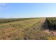 Ayr QLD 4807