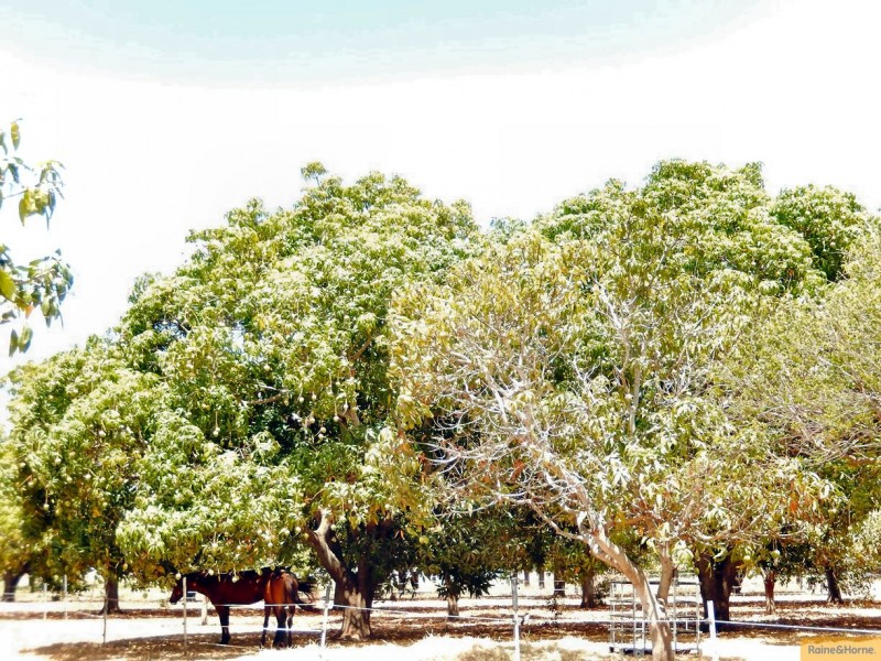 Brandon QLD 4808