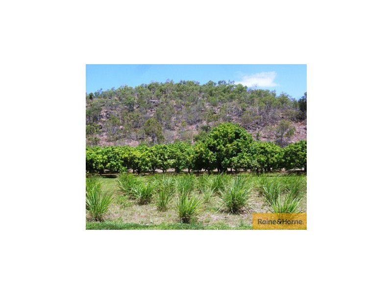 Home Hill QLD 4806