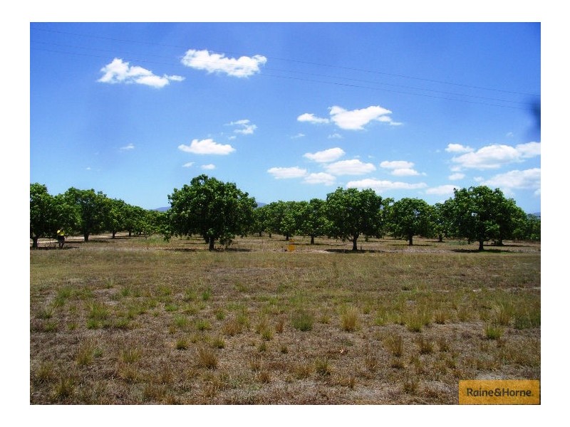 Horseshoe Lagoon QLD 4809