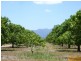 Horseshoe Lagoon QLD 4809
