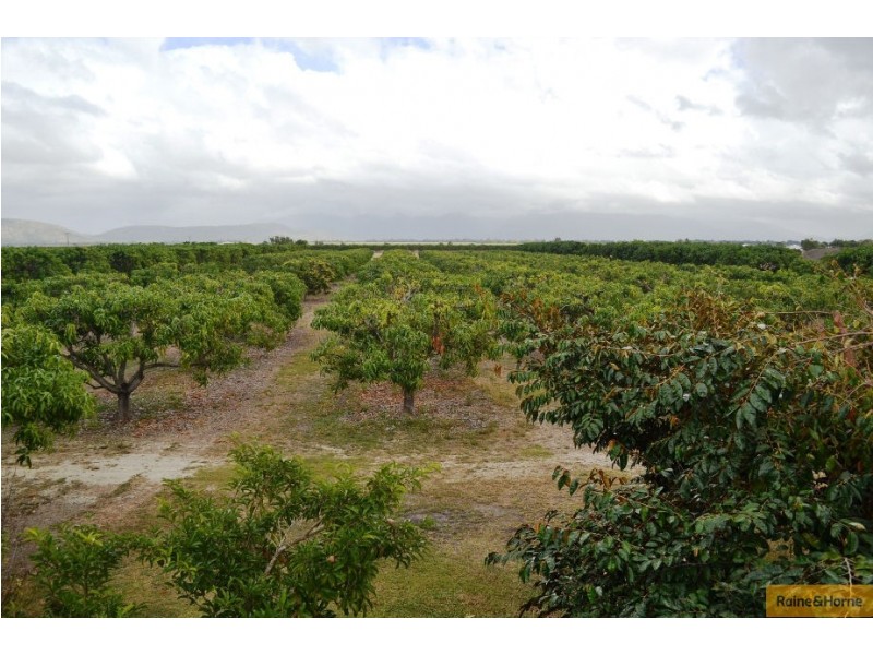 Horseshoe Lagoon QLD 4809