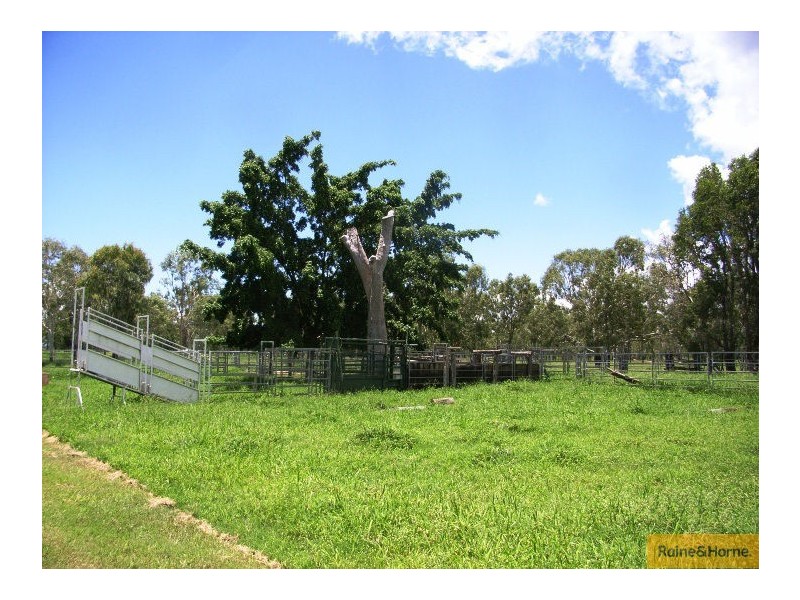 Home Hill QLD 4806