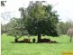Home Hill QLD 4806