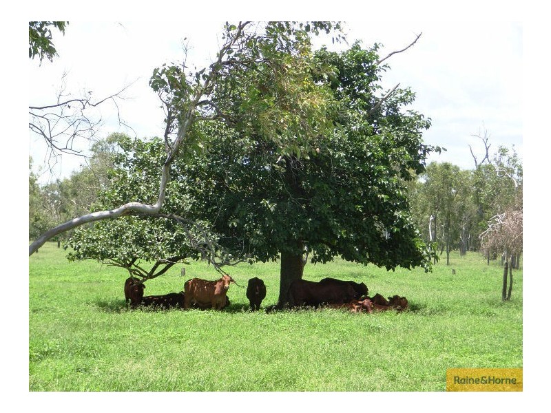 Home Hill QLD 4806