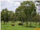 Home Hill QLD 4806