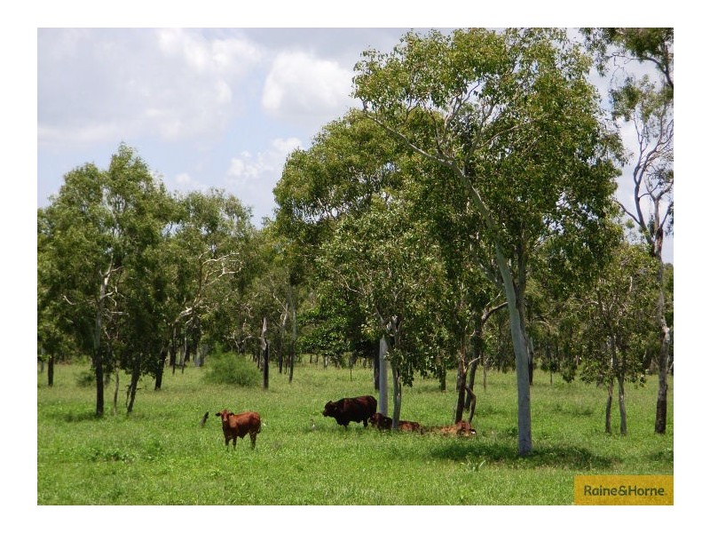 Home Hill QLD 4806