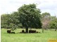 Home Hill QLD 4806