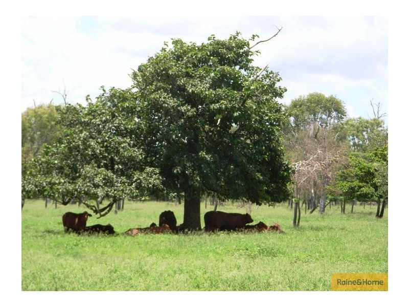 Home Hill QLD 4806