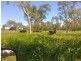 Home Hill QLD 4806