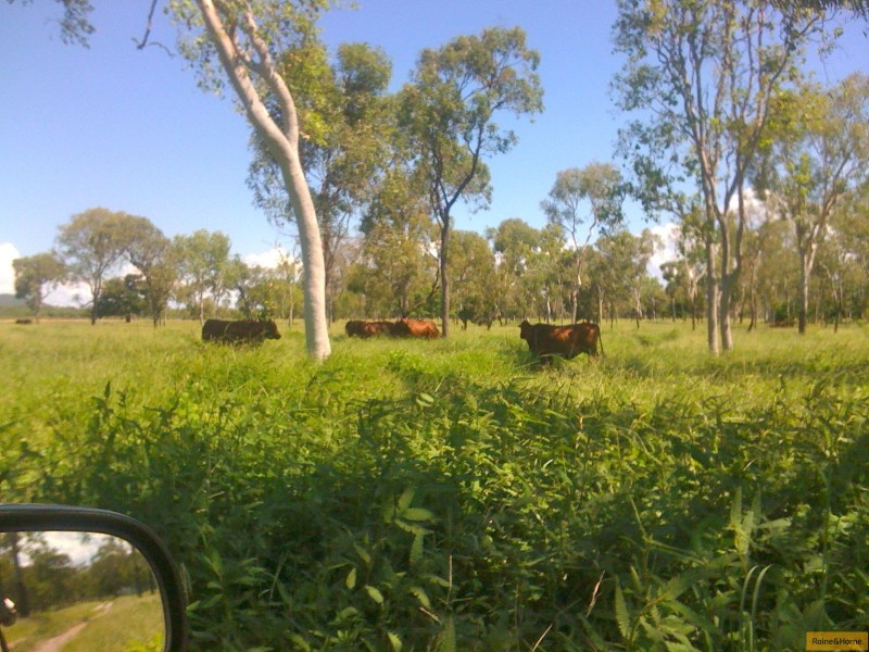 Home Hill QLD 4806