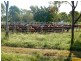 Home Hill QLD 4806