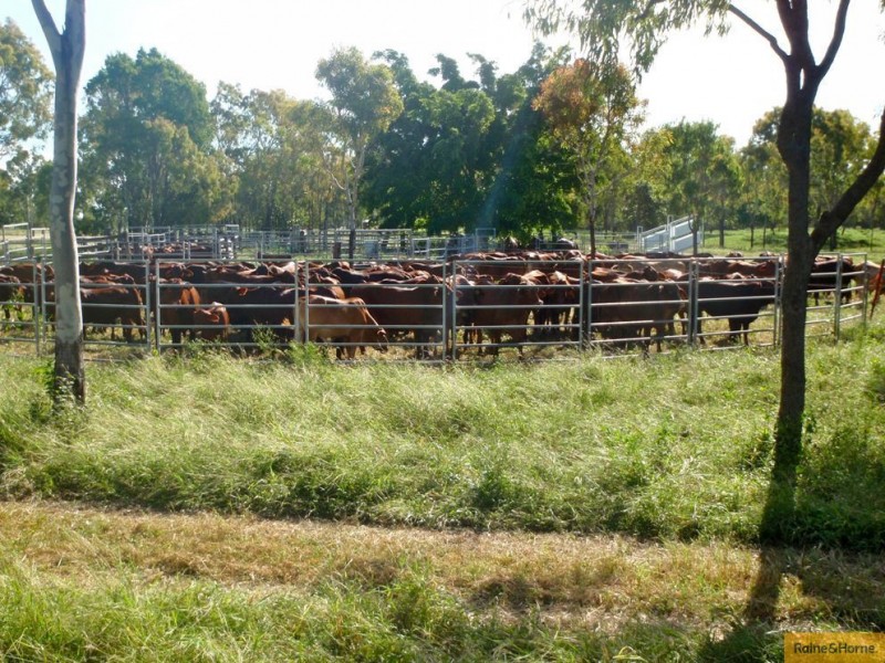 Home Hill QLD 4806