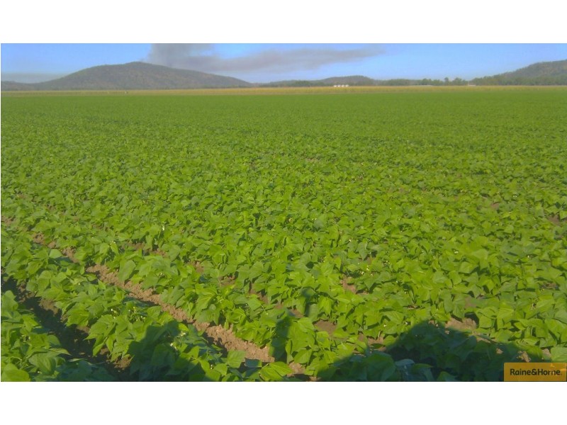 Horseshoe Lagoon QLD 4809